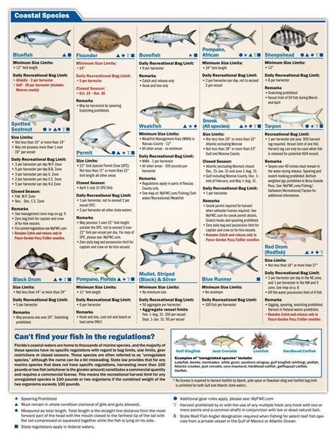 nc fishing regulations saltwater